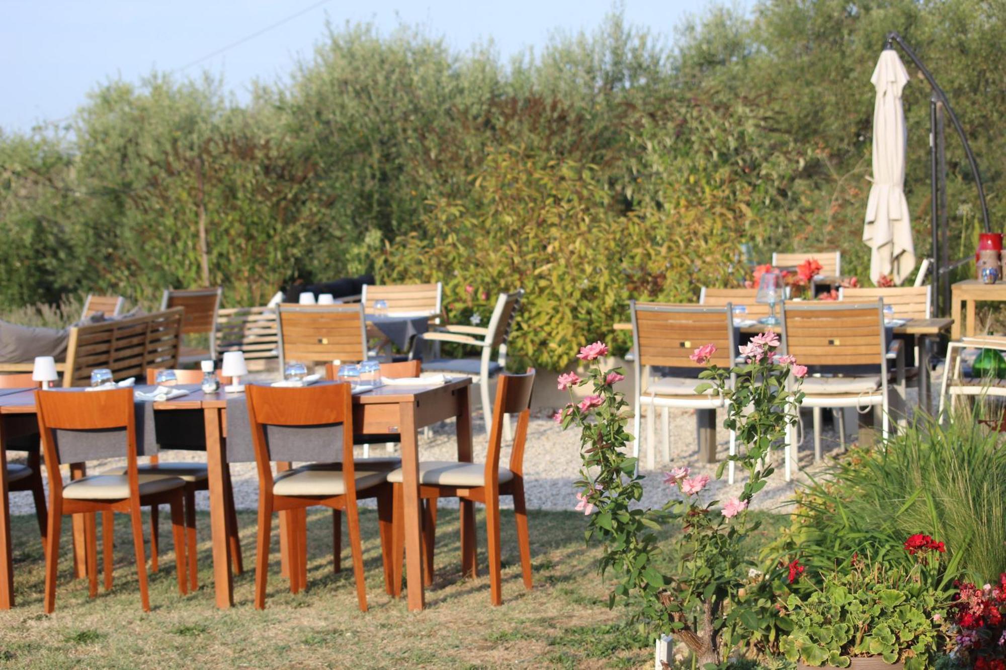 Gastronomic B&B Carlocarla Monte San Pietrangeli Exterior photo